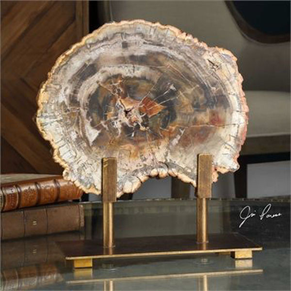 Picture of PETRIFIED WOOD