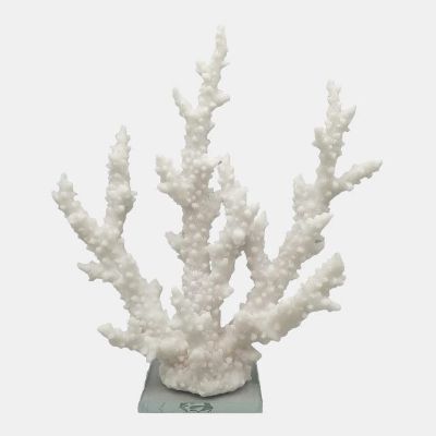 Picture of BRANCHING CORAL